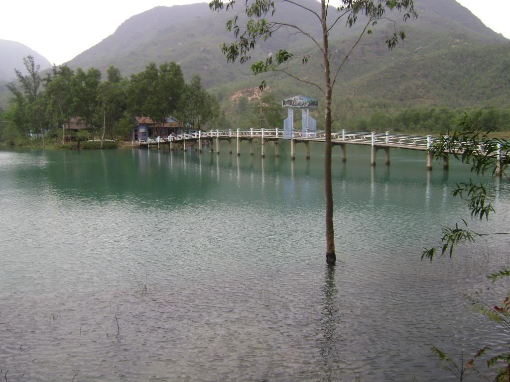 DSC03416.jpg
