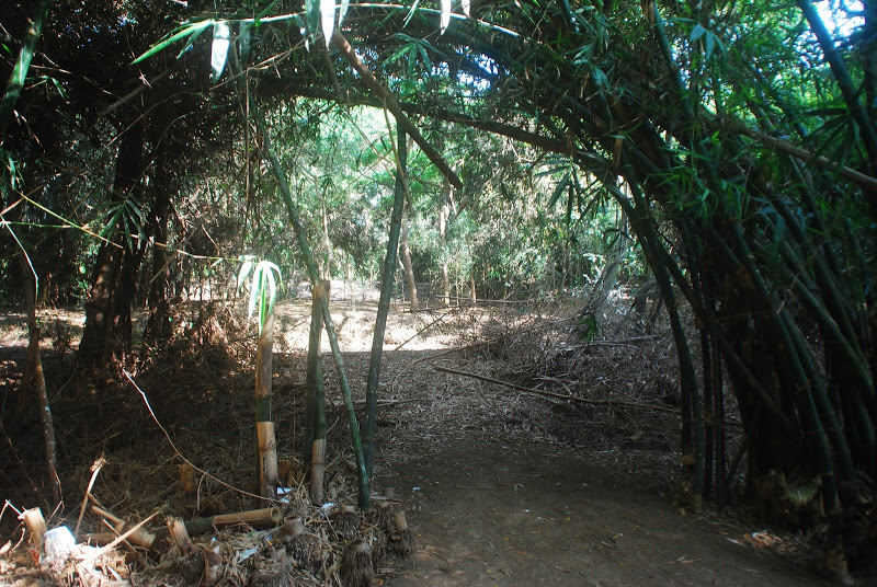 DSC_1108.JPG