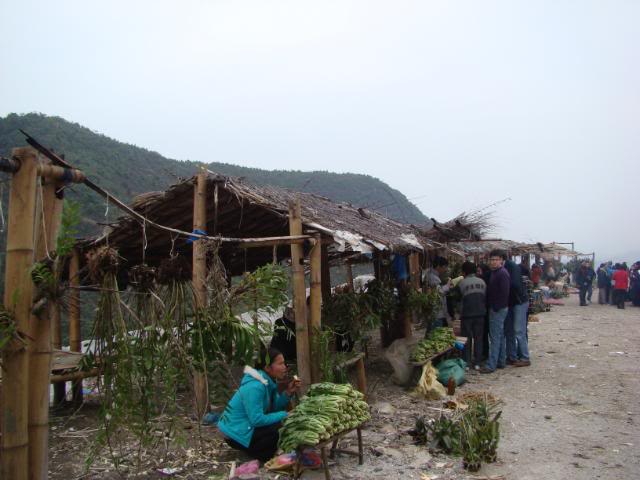 DSC02196.jpg