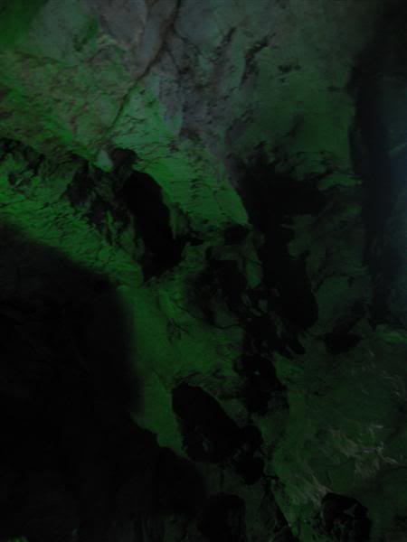 IMG_2381Medium.jpg