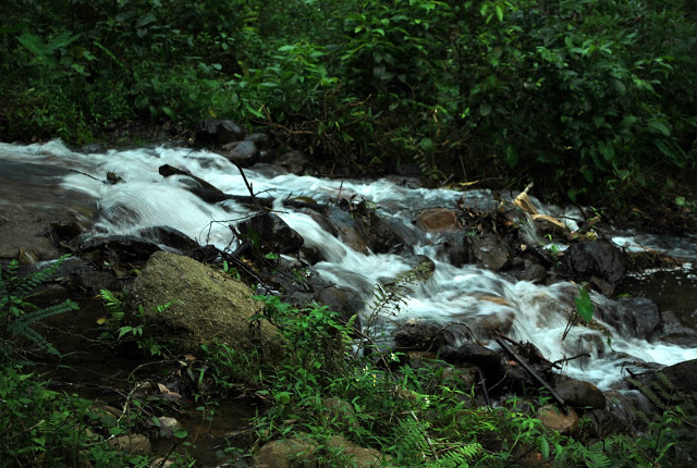 DSC_2296.JPG