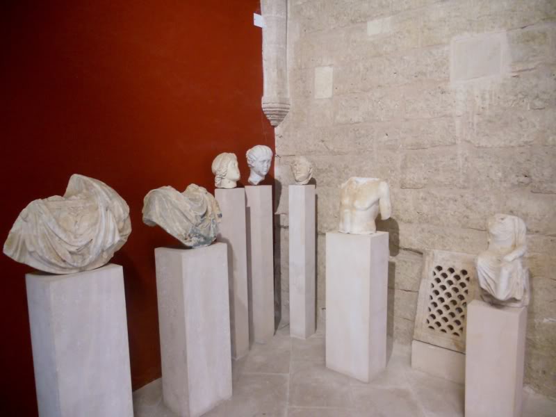DSCN6600.jpg