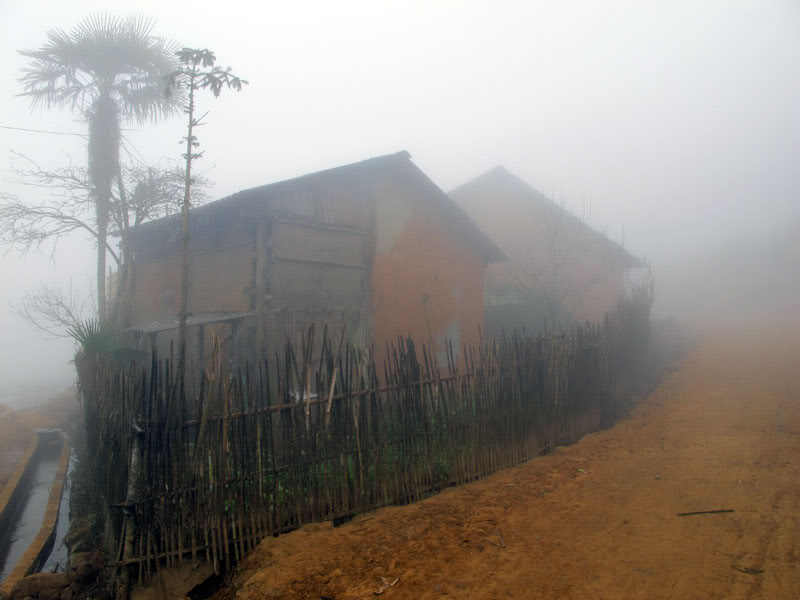HongNgai2011268.jpg