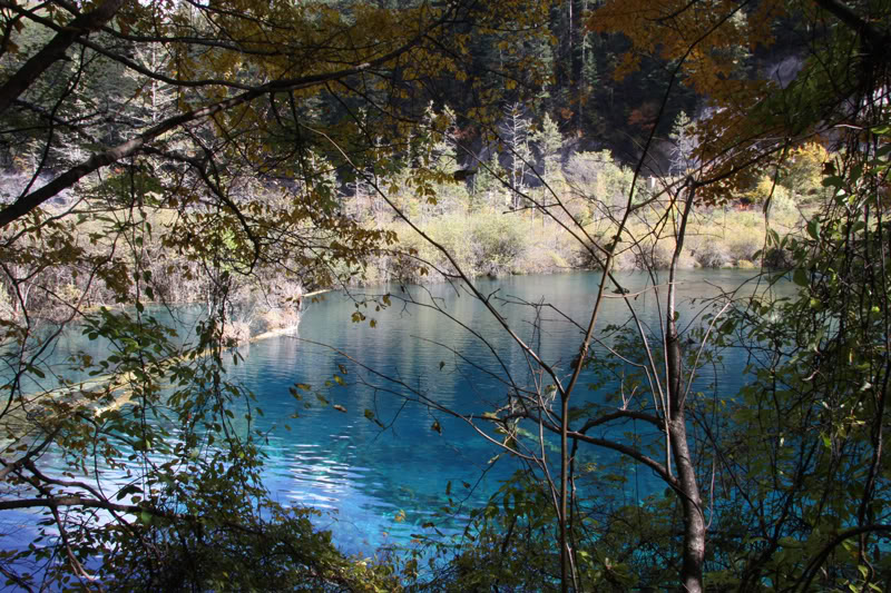 chuongvang2-toan.jpg