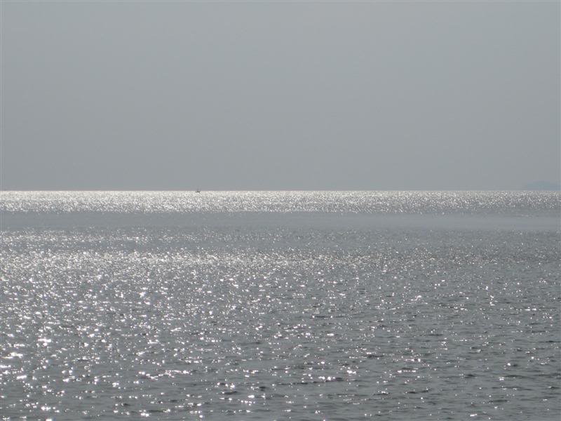 IMG_2416Medium.jpg