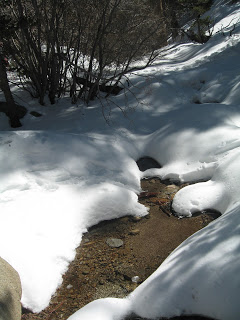 IMG_7346.JPG