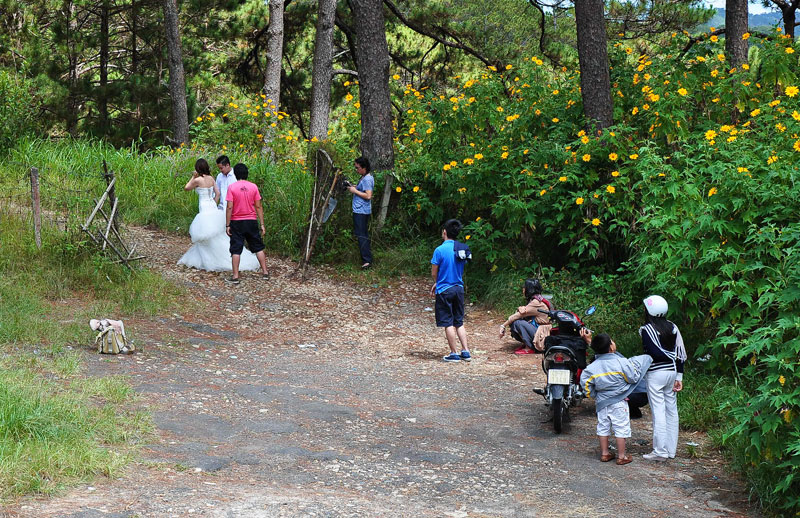 DSC_8087.jpg