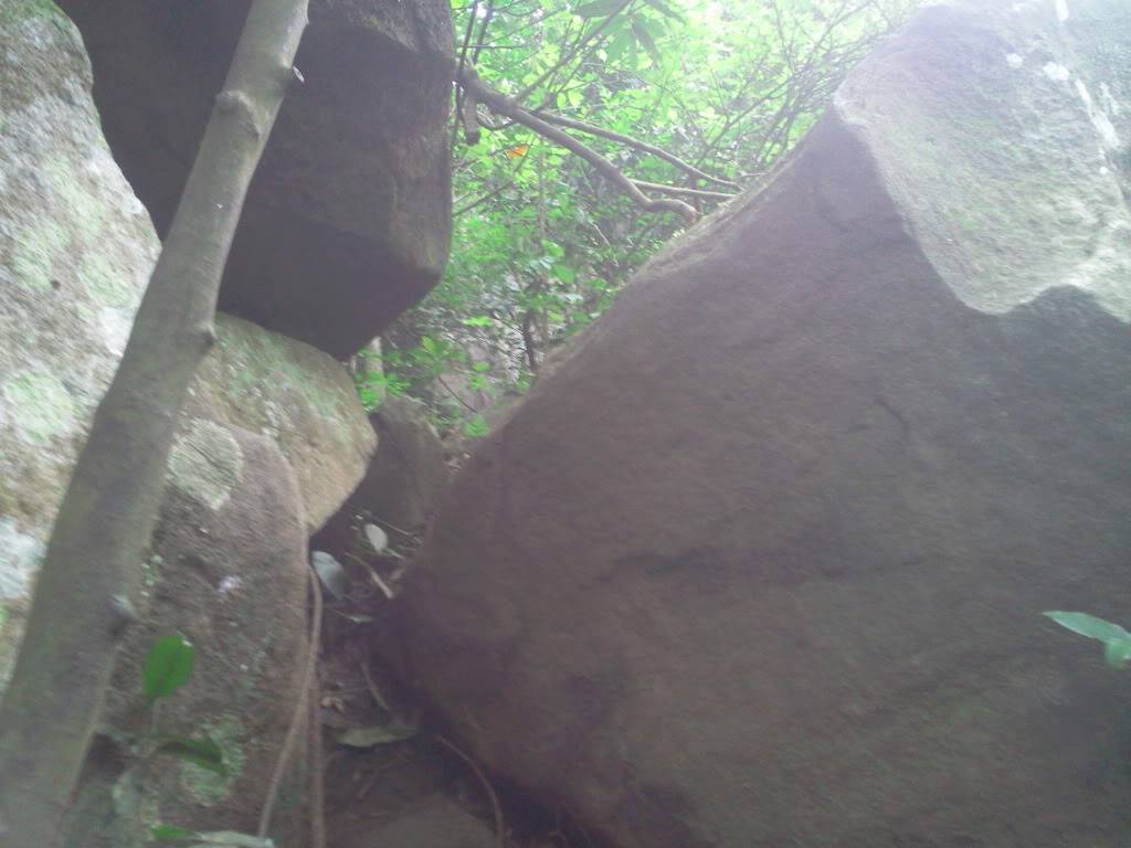 Photo0786.jpg