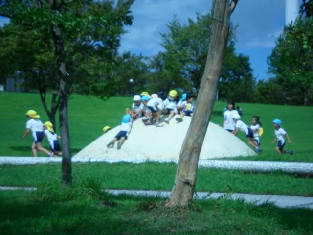SAM_3246.jpg