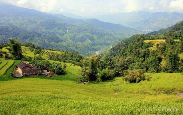 Hgiang75.jpg