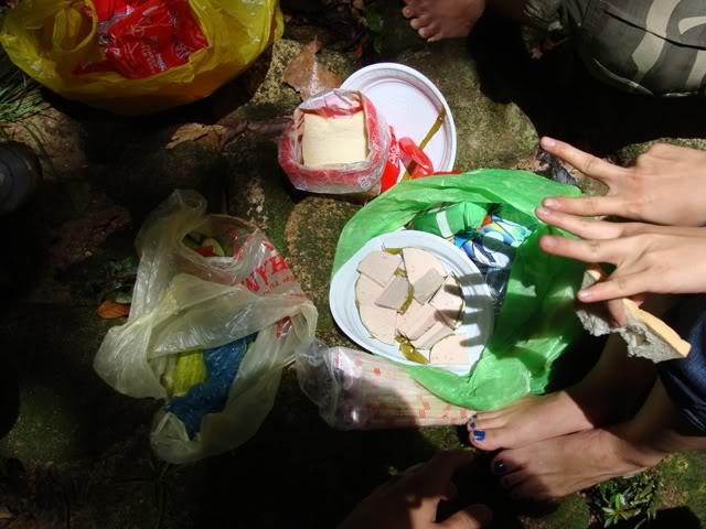 DSC00193.jpg