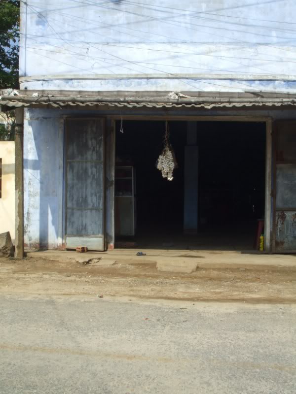 DSCF7058-1.jpg