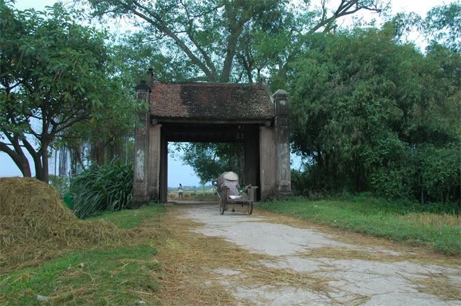 DSC_2333.jpg