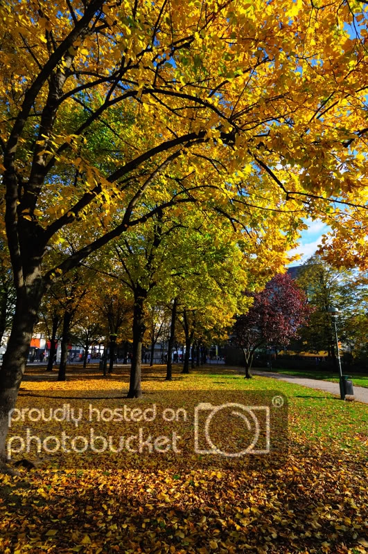 Duc-Berlin013.jpg