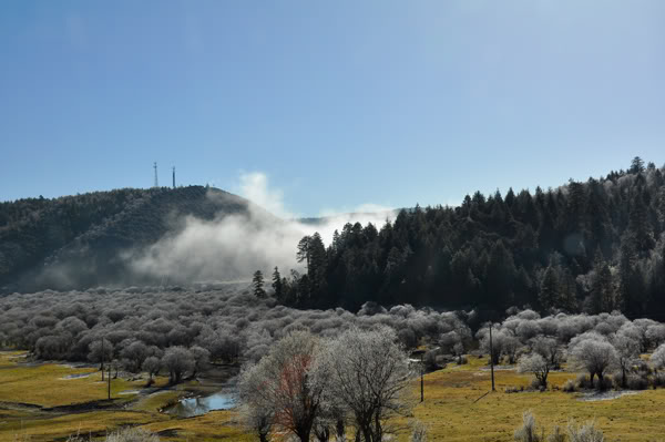 shangri-la204.jpg