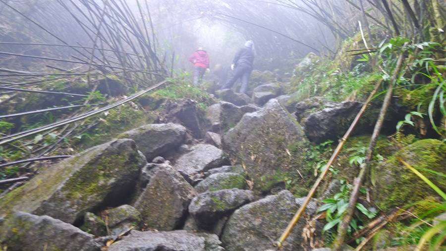 P1140900.jpg