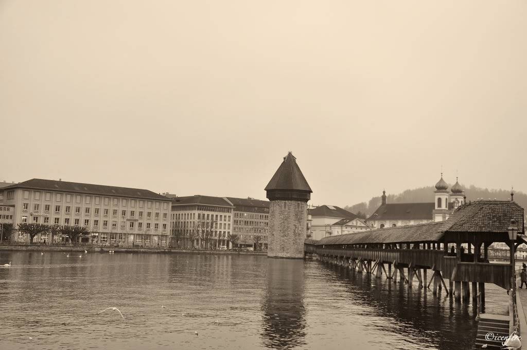 DSC_0097_new.jpg