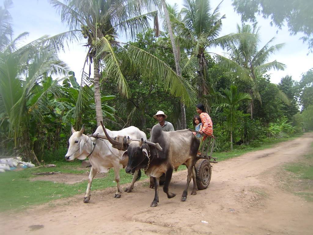 KOHTRONGXEBO2.jpg