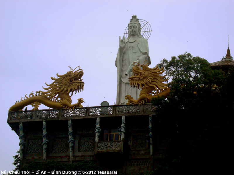 DSC05866.jpg