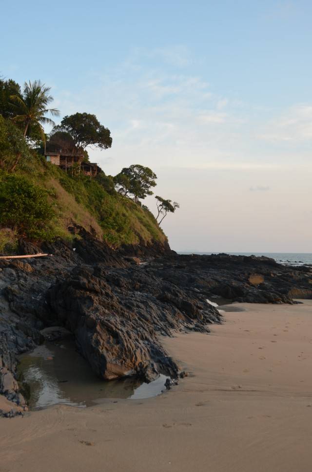 DSC_2398.jpg