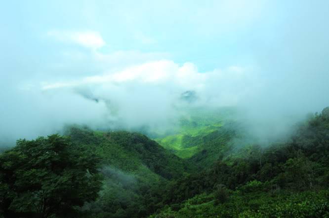 DSC_1003.jpg
