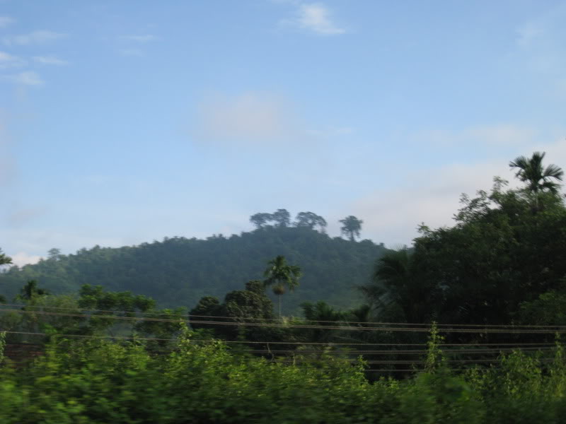 IMG_1786.jpg