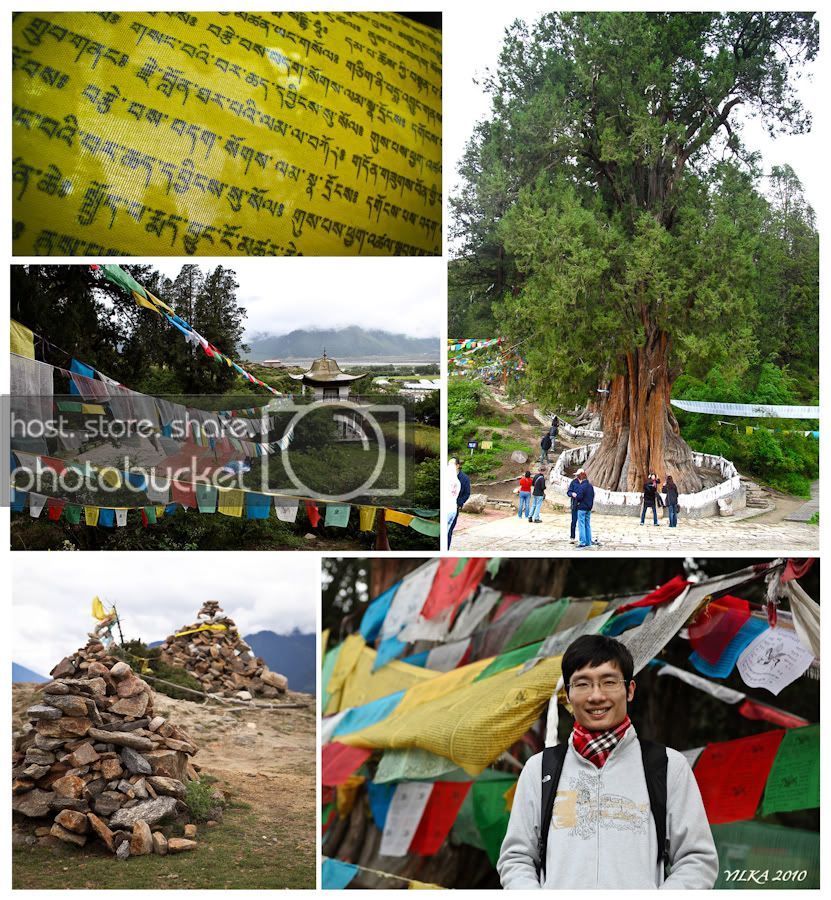 2nyingchi4.jpg
