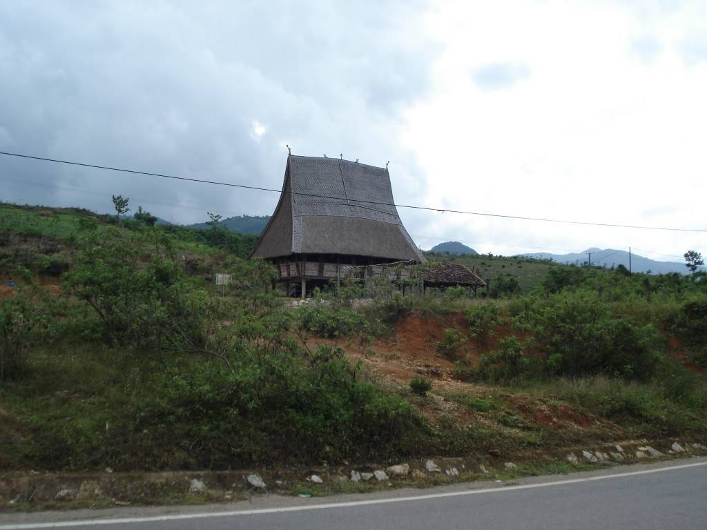 DSC02630.jpg