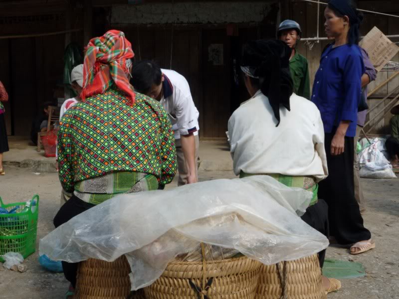 P1010840800x600.jpg
