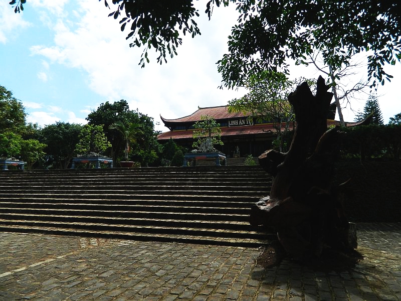 DSCN1784.jpg