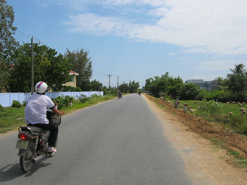 IMG_2015.jpg