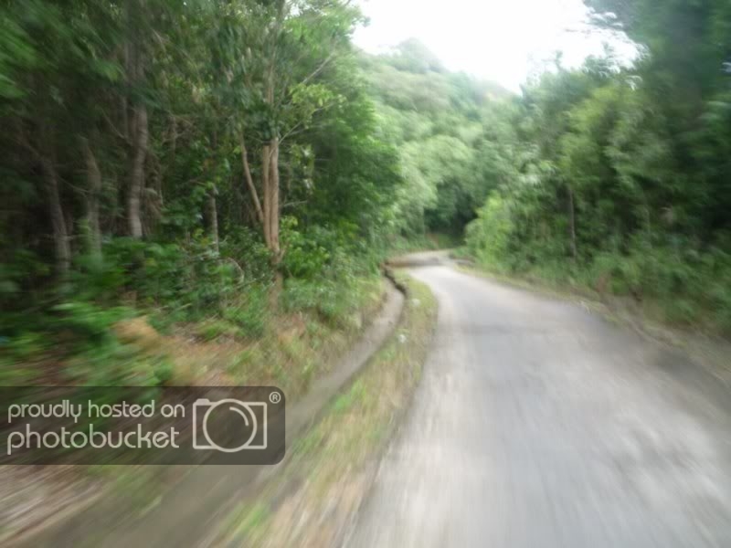 P1010471DesktopResolution800x600.jpg