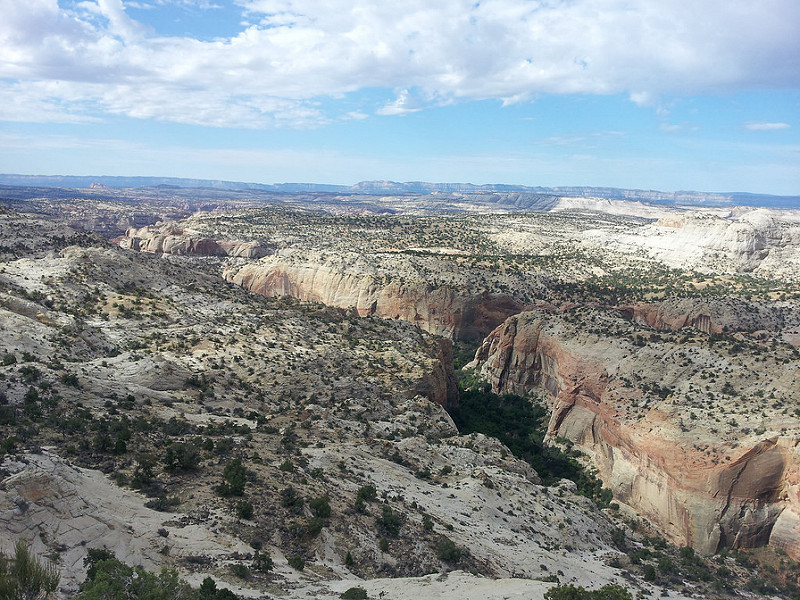10066955315_6f617171f3_c.jpg