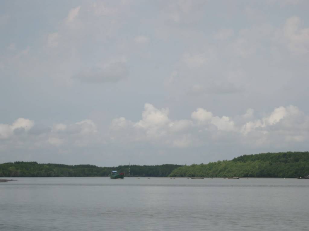 IMG_8557.jpg