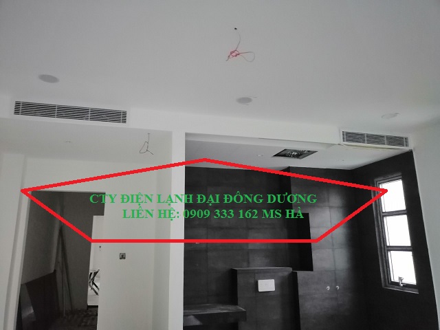 giau-tran-Dai-Dong-Duong.jpg
