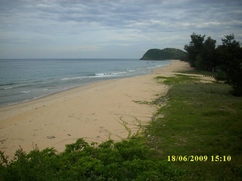 IMG_2338.jpg