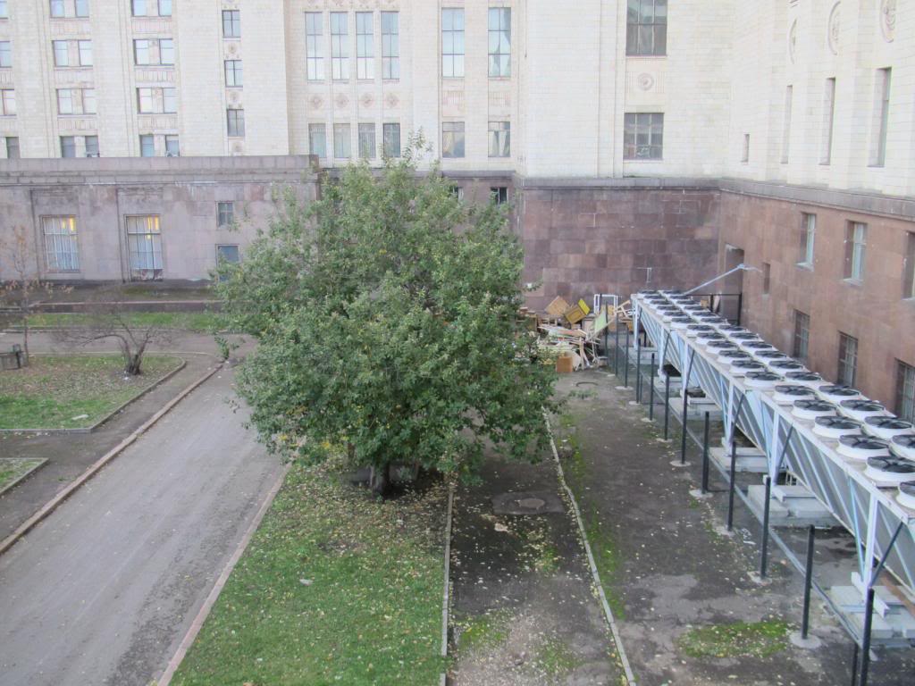 IMG_6664_zps988c1995.jpg