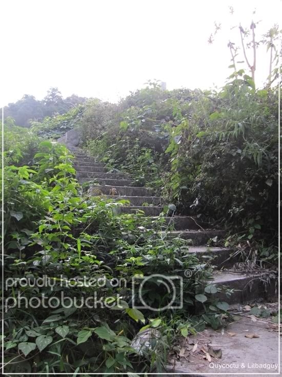 Songdacuoi_Quycoctu1.jpg