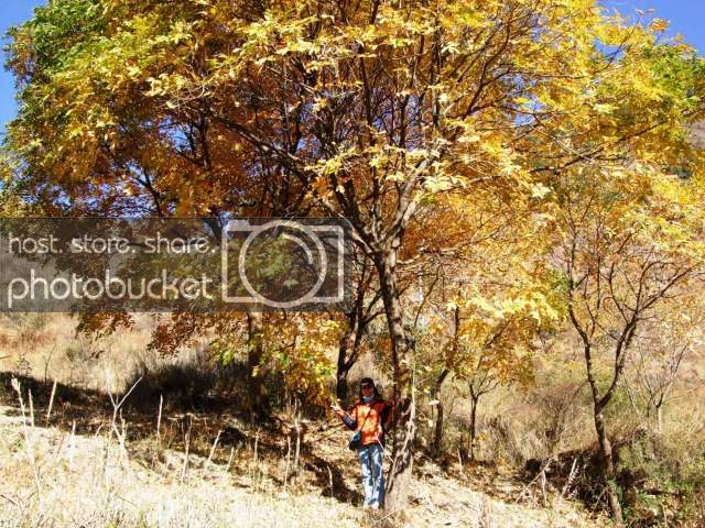 DSCF2358.jpg