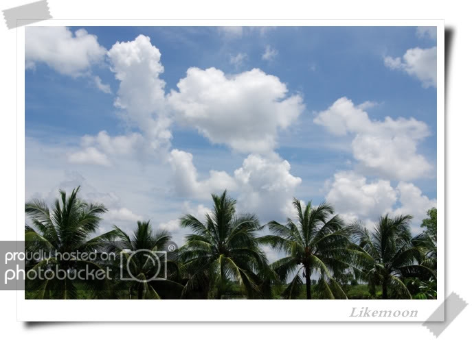 IMGP2261.jpg