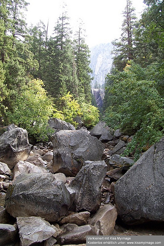 3237734924_6c0a0ab950.jpg