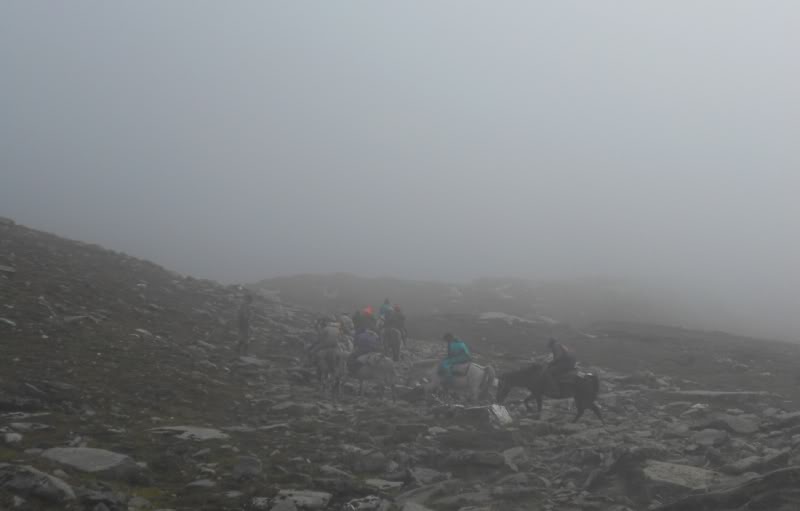 DSCN2332-1.jpg