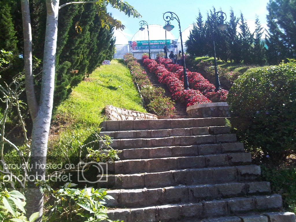 IMG-20111122-00147.jpg