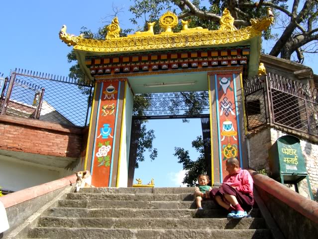 PA280725.jpg
