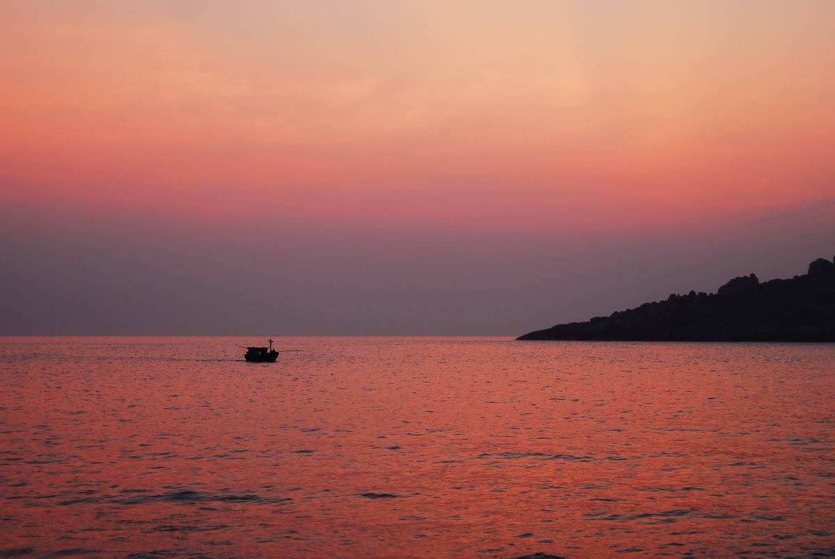 DSC_0978.jpg