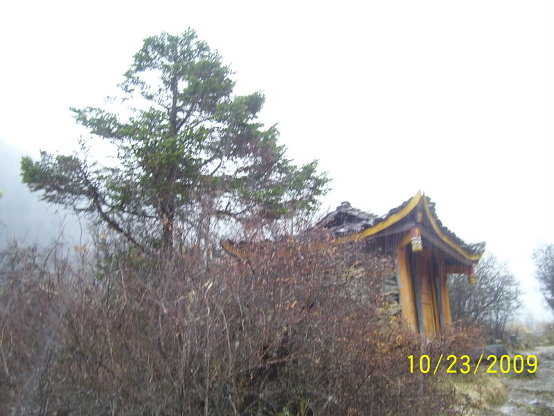 hoanglong109.jpg