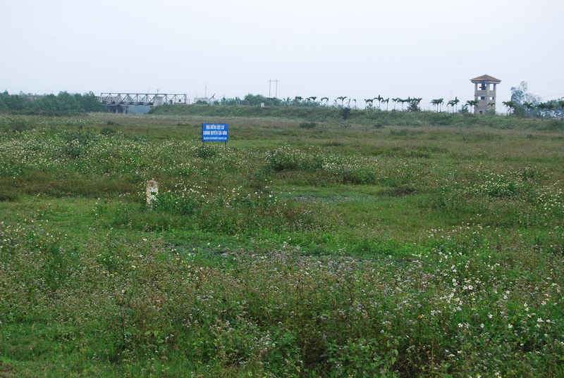 dsc6778t.jpg