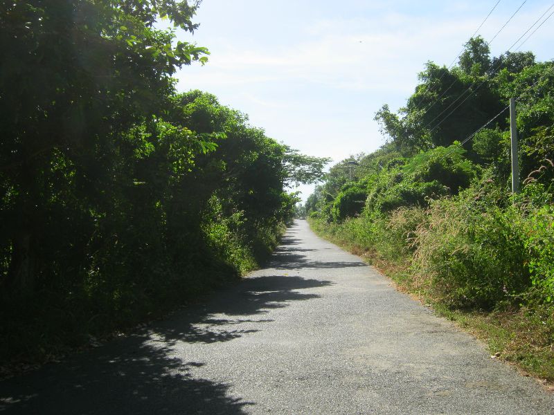 IMG_8904.jpg