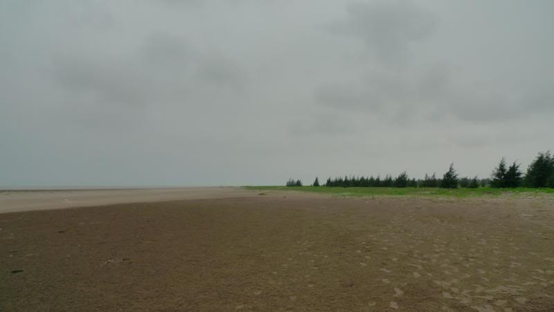 L1150974.jpg