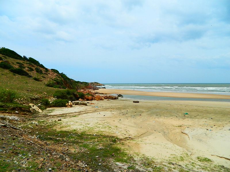 DSCN2178a.jpg